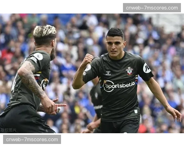 第87分钟,布莱顿通过22脚连续传递由弗格森打入制胜球 第87分钟,布莱顿通过22脚连续传递由弗格森打入制胜球